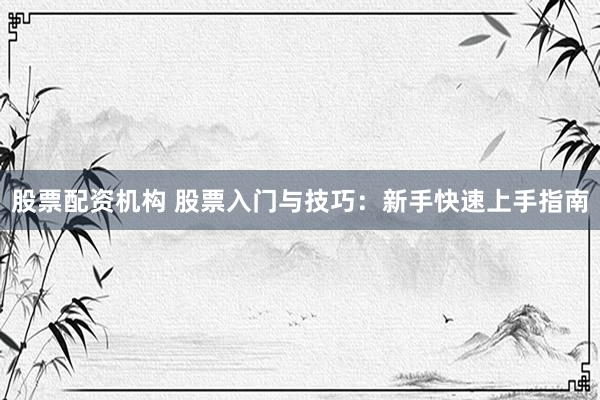 股票配资机构 股票入门与技巧：新手快速上手指南