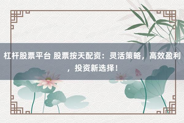 杠杆股票平台 股票按天配资：灵活策略，高效盈利，投资新选择！