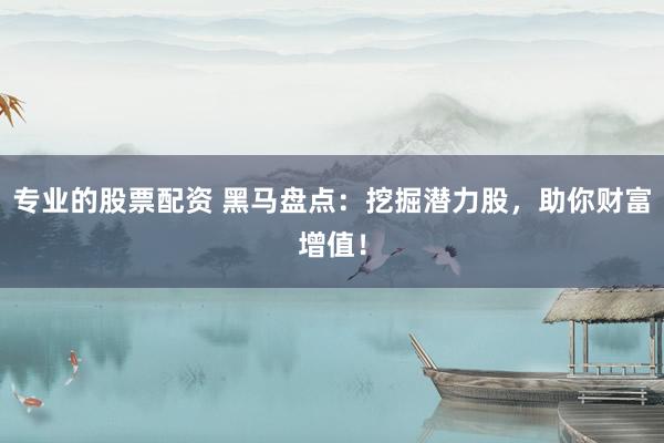 专业的股票配资 黑马盘点：挖掘潜力股，助你财富增值！
