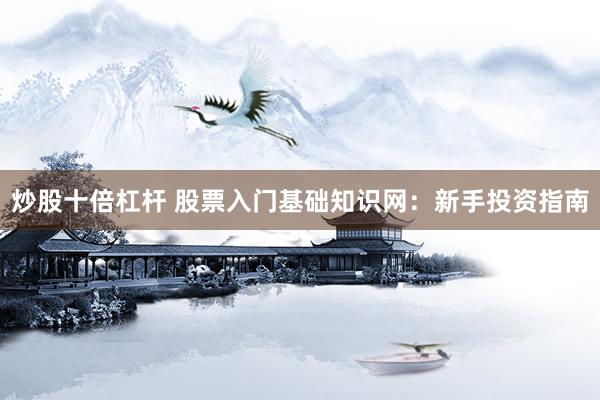 炒股十倍杠杆 股票入门基础知识网：新手投资指南