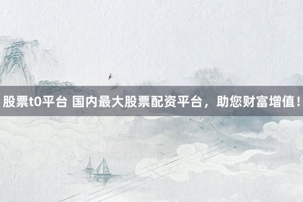 股票t0平台 国内最大股票配资平台,助您财富增值!