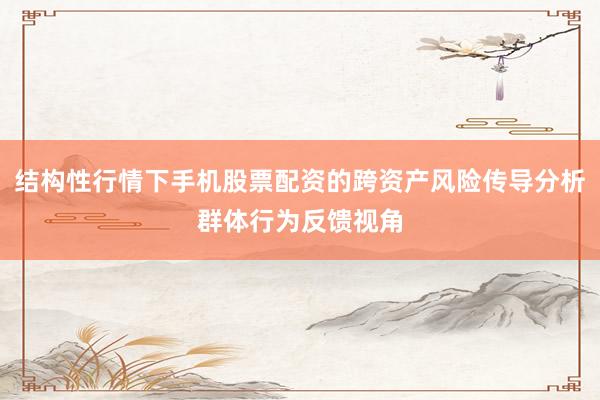 结构性行情下手机股票配资的跨资产风险传导分析群体行为反馈视角