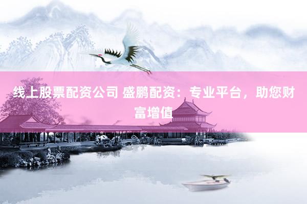 线上股票配资公司 盛鹏配资：专业平台，助您财富增值
