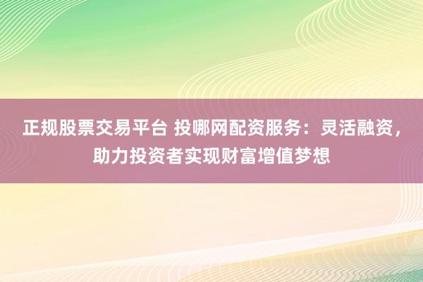 正规股票交易平台 投哪网配资服务：灵活融资，助力投资者实现财富增值梦想