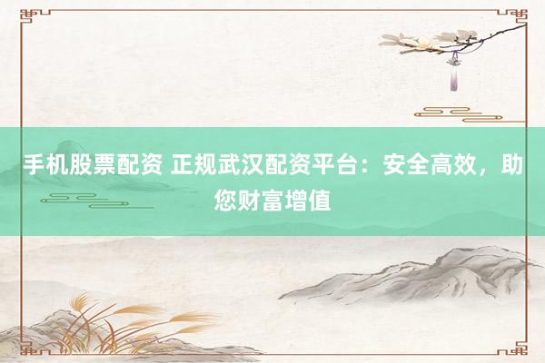 手机股票配资 正规武汉配资平台：安全高效，助您财富增值